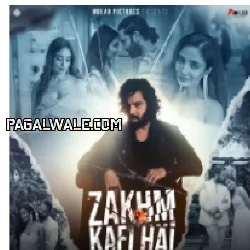 Zakhm Kafi Hai