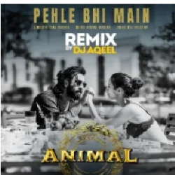 Pehle Bhi Main (Remix) DJ Aqeel